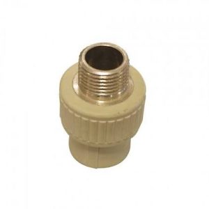 Manchon fileté PPR 20 mm × 1/2 po mâle