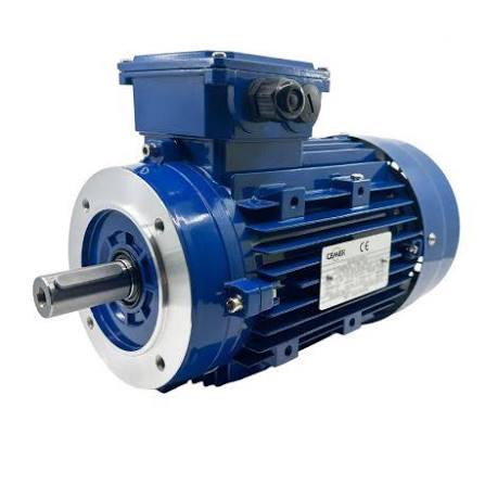 Rebobinage de moteur 3 CV