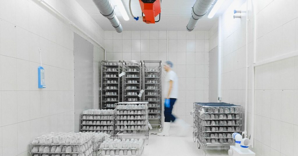 Chambre froide industrielle