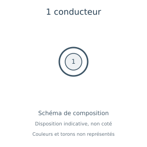 Câble électrique à 1 conducteur — schéma de composition, couleurs et torons non représentés