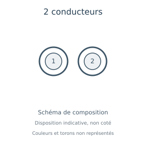 Câble électrique à 2 conducteurs — schéma de composition, couleurs et torons non représentés