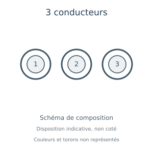 Câble électrique à 3 conducteurs — schéma de composition, couleurs et torons non représentés