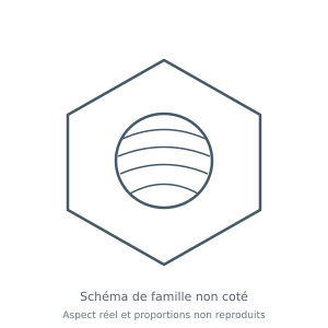 Écrou hexagonal à trou fileté — schéma de forme sans finition représentée